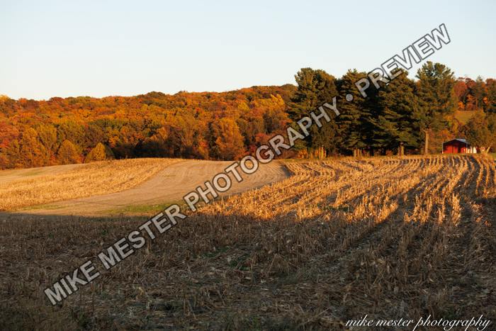 Protected preview of Autumn Field in Golden Light, an original Mike Mester photograph