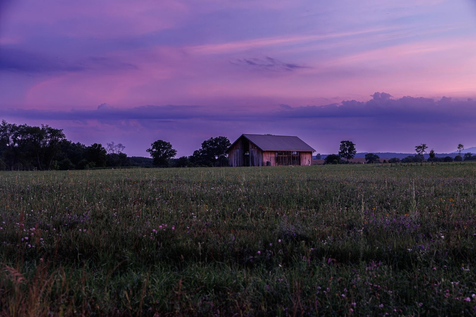 Original Michael Mester photograph of a barn and wildflower field beneath a dramatic violet evening sky.